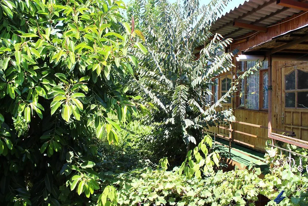 Hotel Lazer Pension Antalya